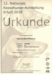 2019 12.nationale Rassehunde-Ausstellung Erfurt (Elli)_000