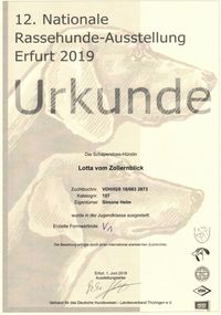 2019 12.Nationale Rassehunde-Ausstellung Erfurt (Lotta) (1)